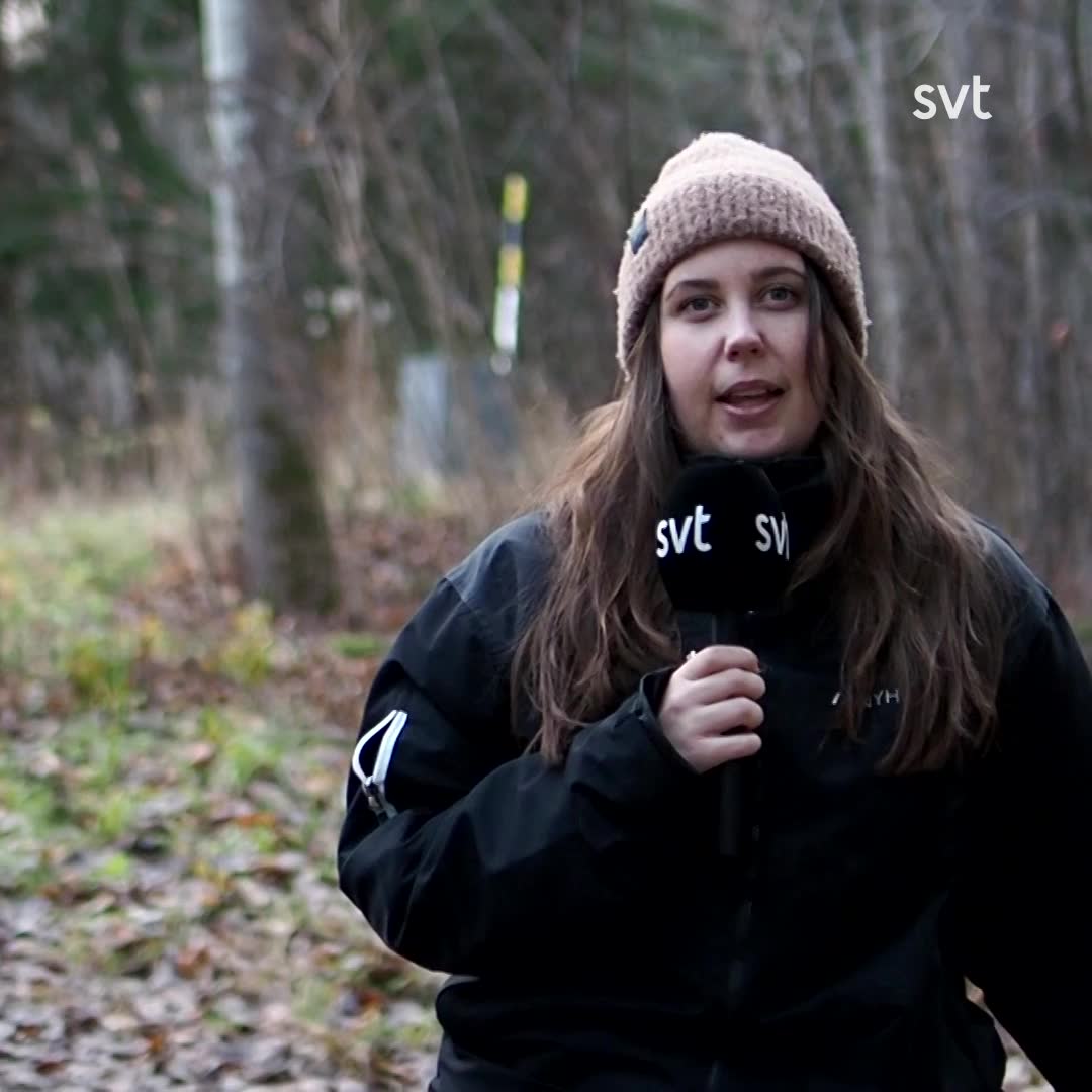 Kvarlevor efter en person har hittats i skogsområde