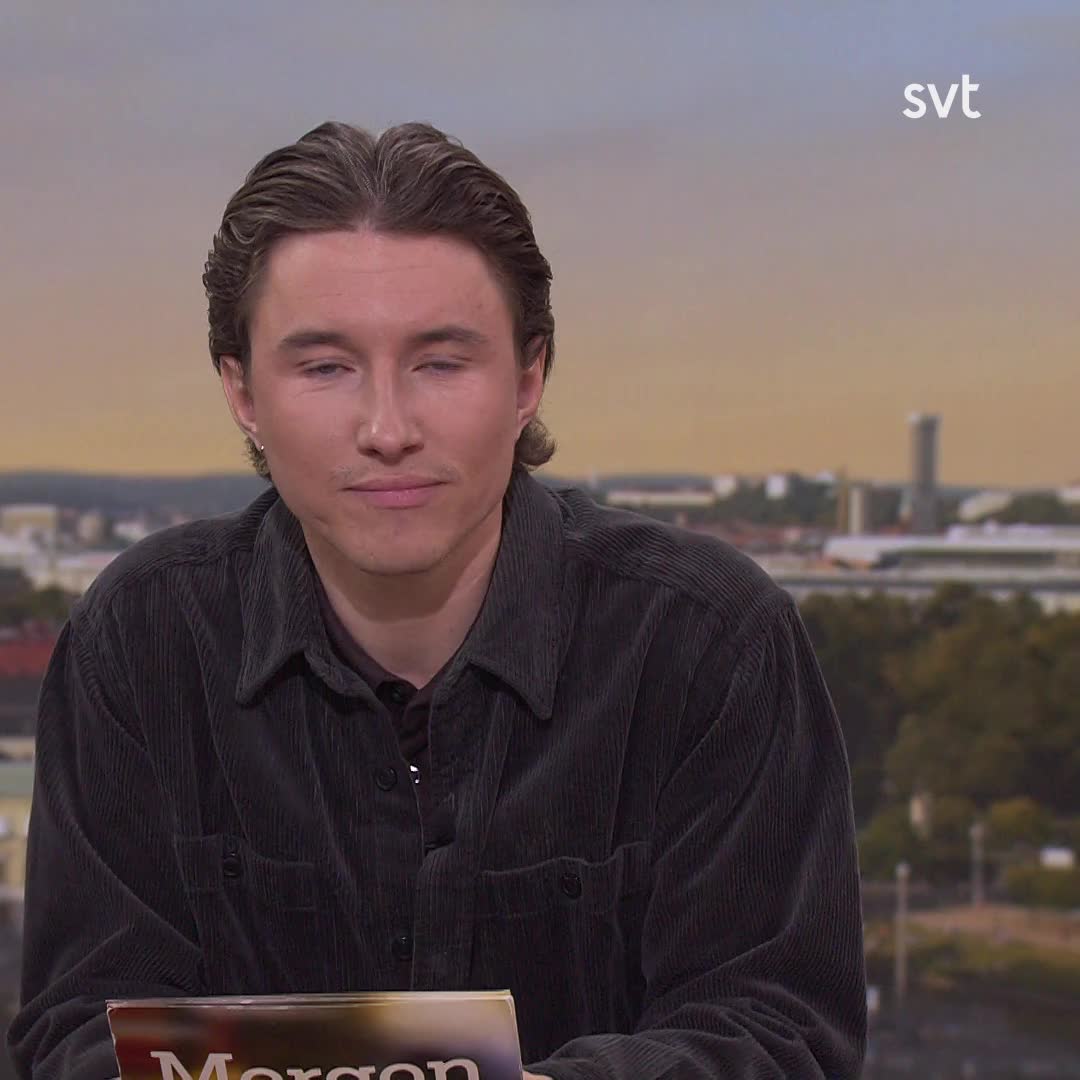 Domare: Julhiten inte stulen